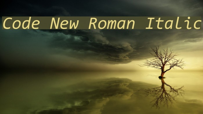 Code New Roman Italic Font examples