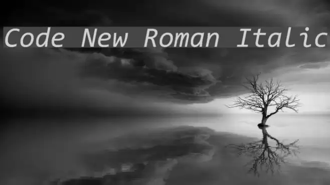 Code New Roman Italic Font examples