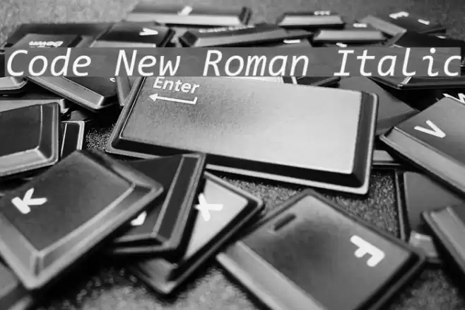 Code New Roman Italic Font examples