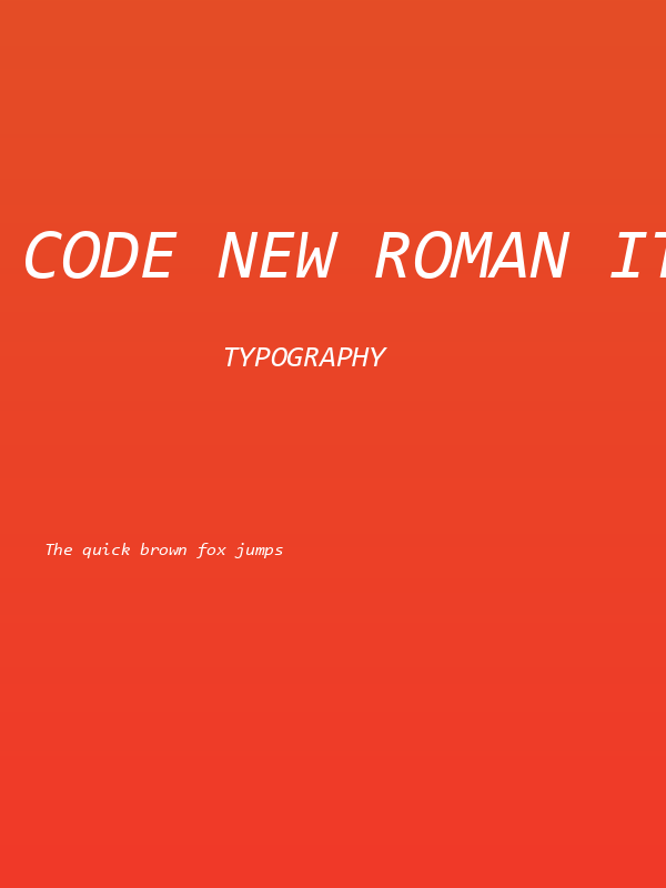 Code New Roman Italic Poster