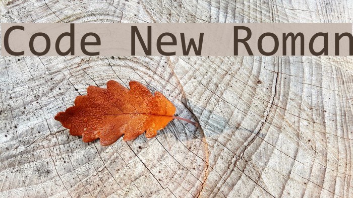 Code New Roman Font examples