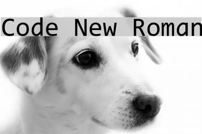 Code New Roman Font examples