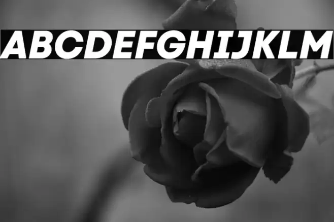 Code Next ExtraBold Italic Font examples