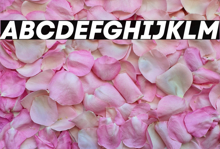 Code Next ExtraBold Italic Example 3