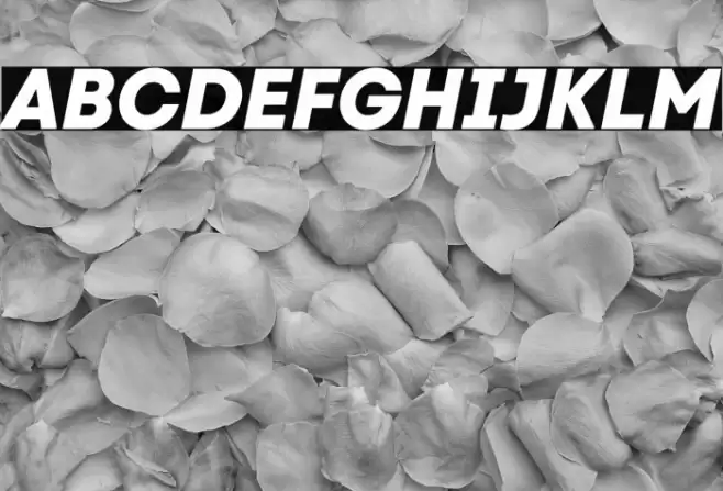 Code Next ExtraBold Italic Font examples