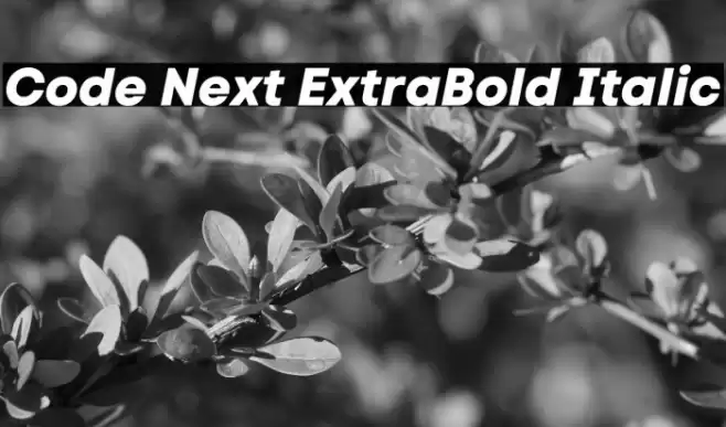 Code Next ExtraBold Italic Font examples