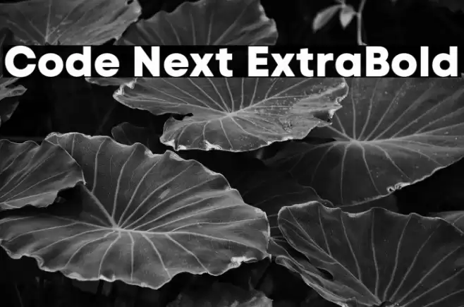 Code Next ExtraBold Font examples
