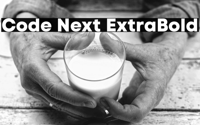 Code Next ExtraBold Example 2