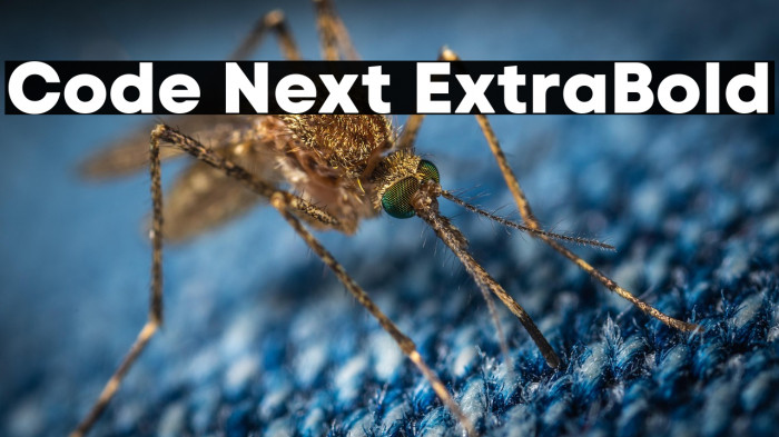 Code Next ExtraBold Example 3