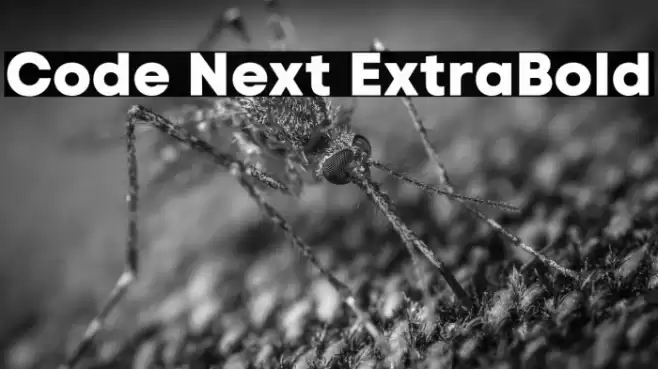 Code Next ExtraBold Font examples