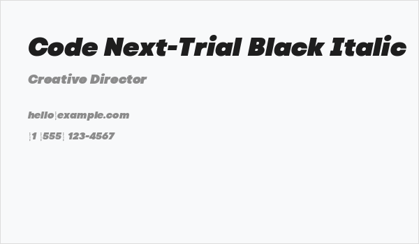 Code Next-Trial Black Italic Business Card