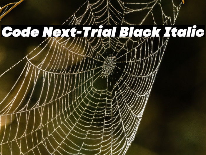 Code Next-Trial Black Italic Example 1