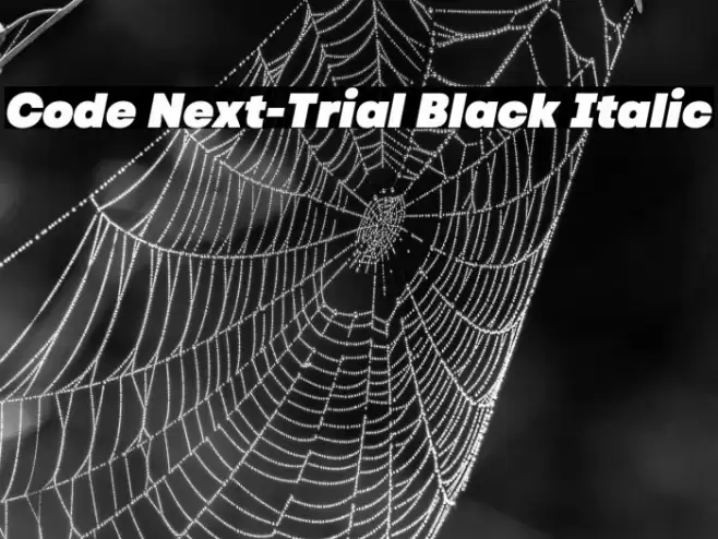 Code Next-Trial Black Italic Font examples