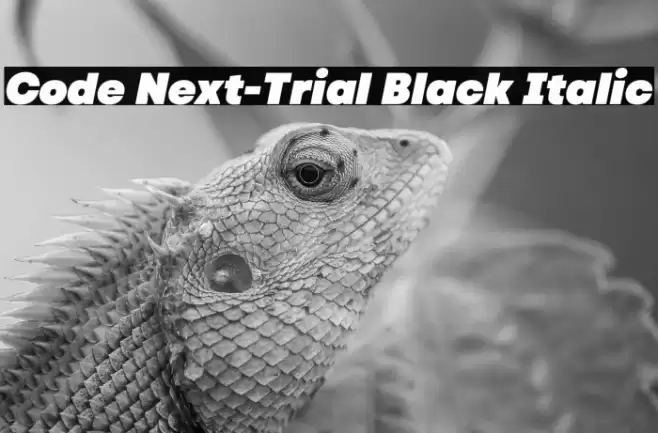 Code Next-Trial Black Italic Font examples