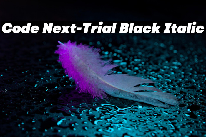 Code Next-Trial Black Italic Example 3