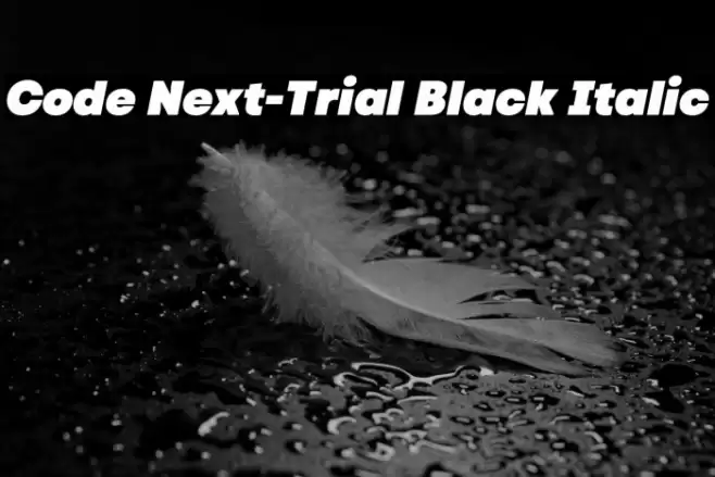 Code Next-Trial Black Italic Font examples