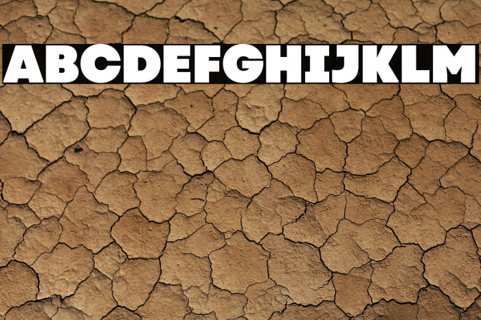 Code Next-Trial Black Example 3