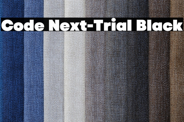 Code Next-Trial Black Example 1