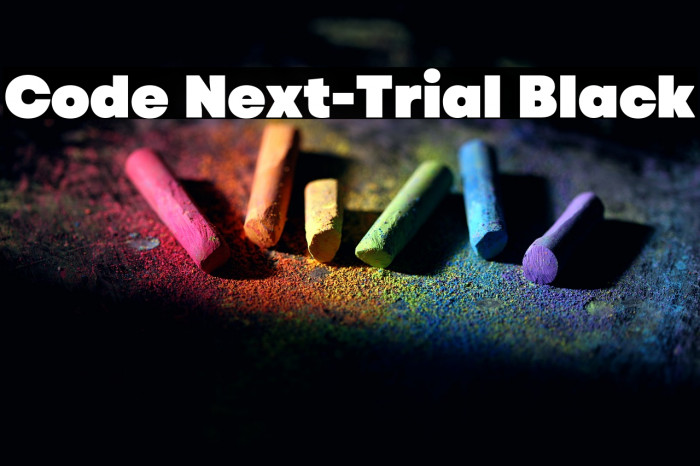 Code Next-Trial Black Example 2