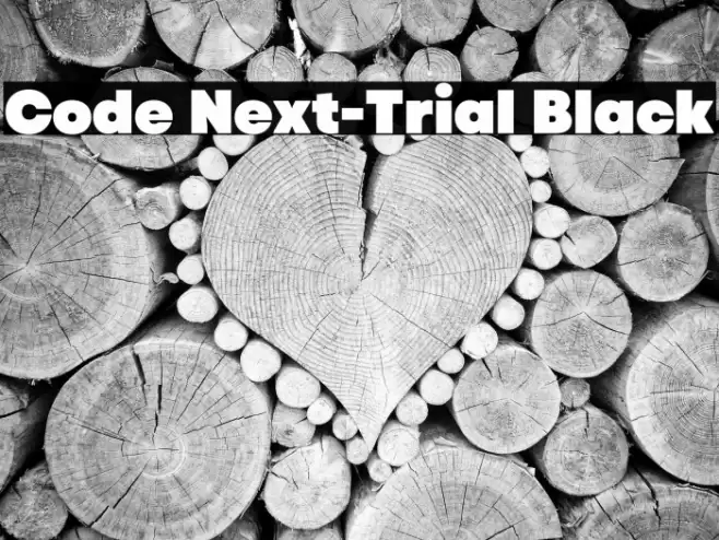 Code Next-Trial Black Font examples