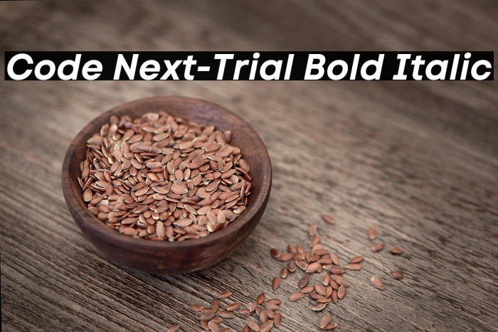 Code Next-Trial Bold Italic Example 2