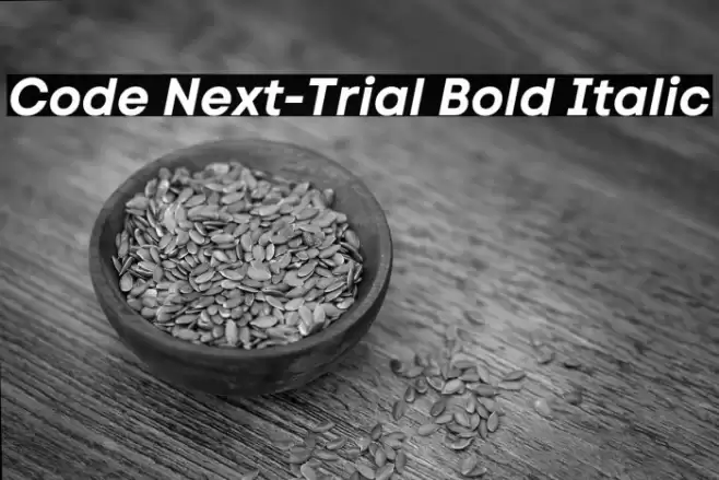 Code Next-Trial Bold Italic Font examples