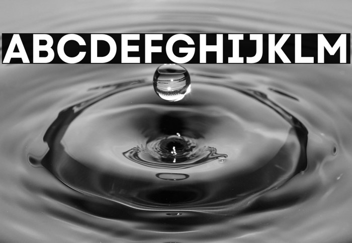 Code Next-Trial Bold Example 3