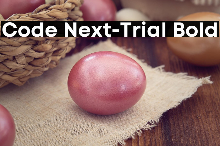 Code Next-Trial Bold Example 1