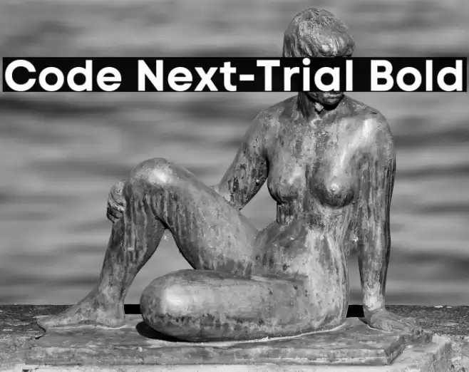 Code Next-Trial Bold Font examples