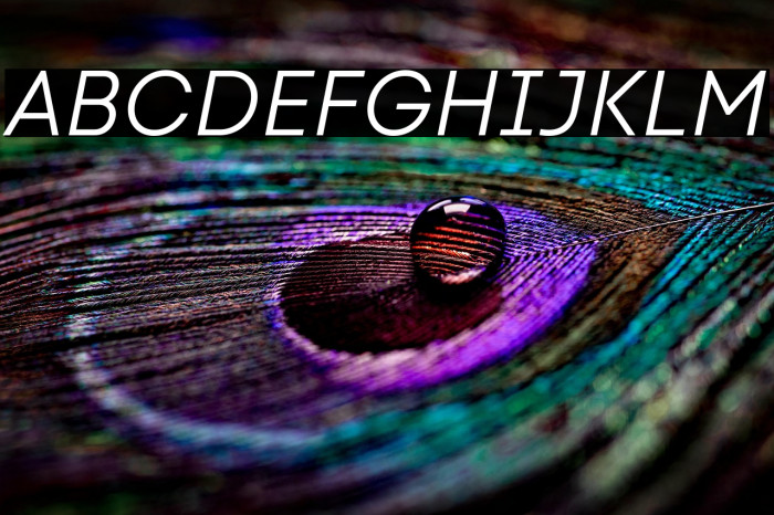 Code Next-Trial Book Italic Example 1