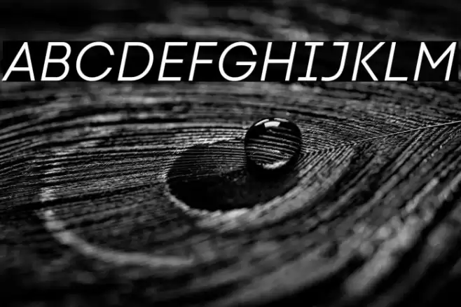 Code Next-Trial Book Italic Font examples