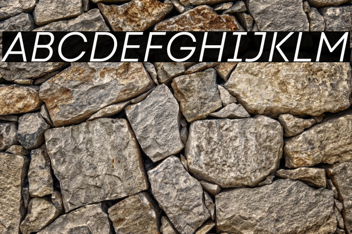 Code Next-Trial Book Italic Example 2