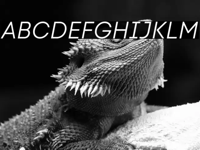 Code Next-Trial Book Italic Font examples