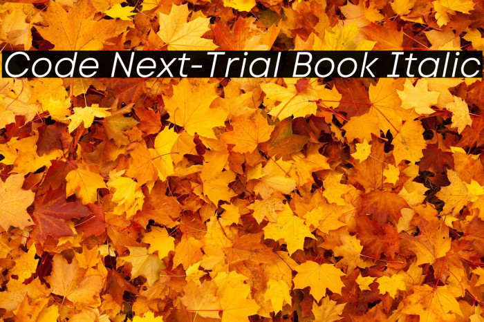 Code Next-Trial Book Italic Example 2
