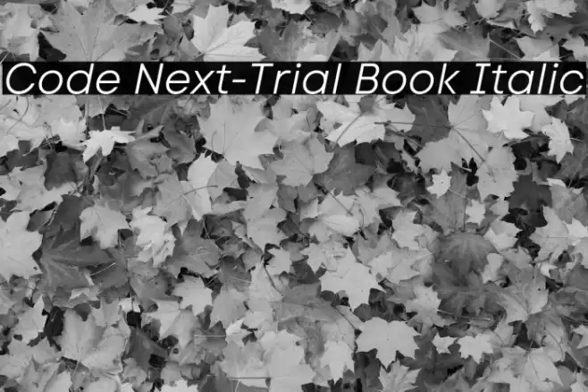 Code Next-Trial Book Italic Font examples