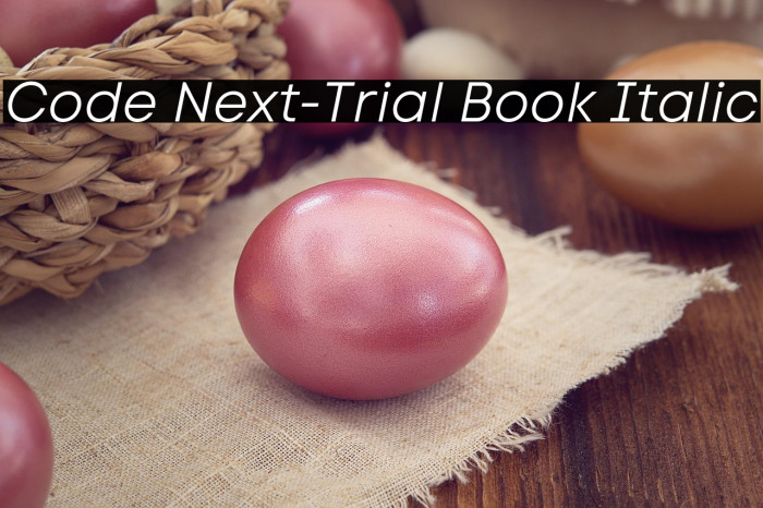 Code Next-Trial Book Italic Example 3