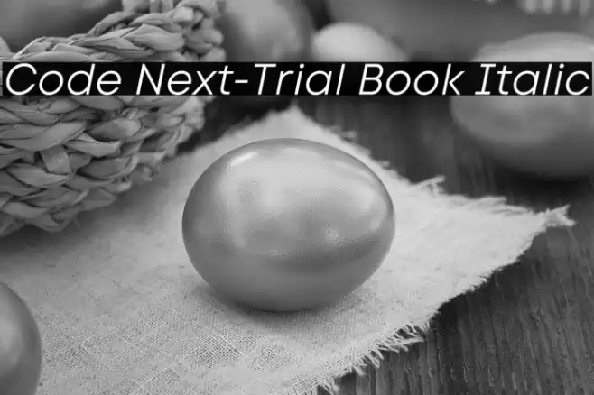 Code Next-Trial Book Italic Font examples