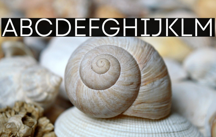 Code Next-Trial Book Example 1