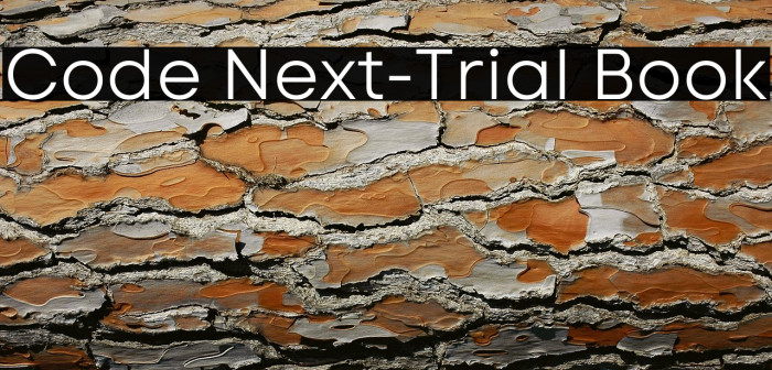 Code Next-Trial Book Example 3