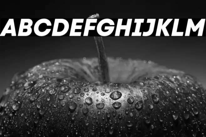 Code Next-Trial ExtraBold Italic Font examples