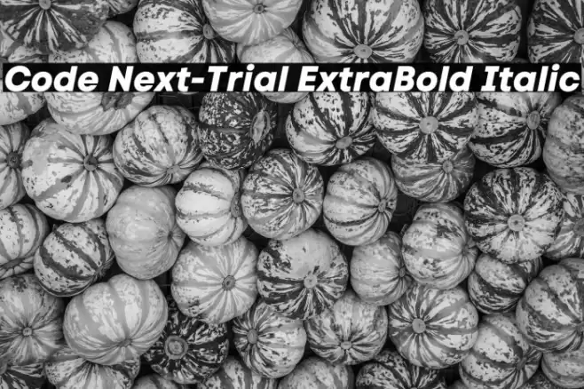 Code Next-Trial ExtraBold Italic Font examples