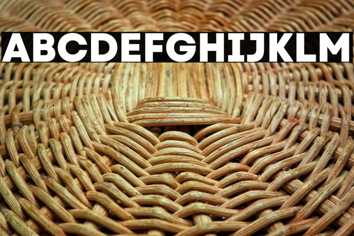 Code Next-Trial ExtraBold Example 1