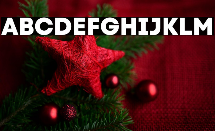 Code Next-Trial ExtraBold Example 2