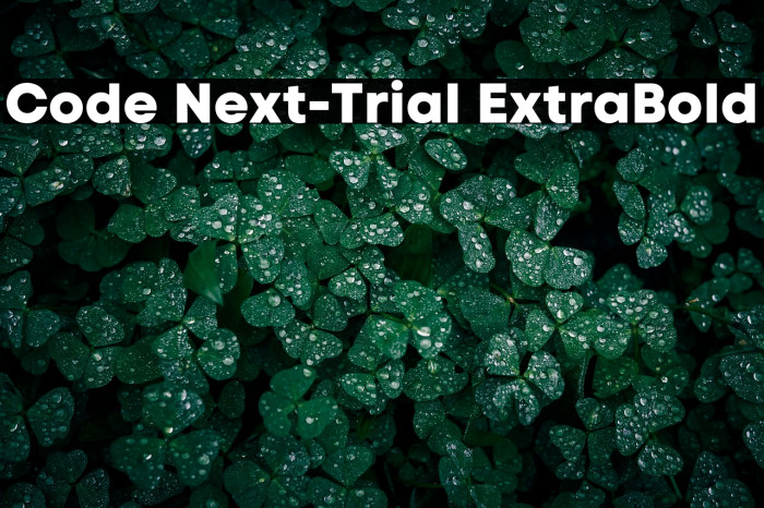 Code Next-Trial ExtraBold Example 1