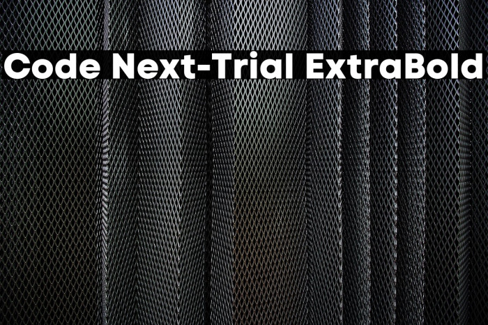 Code Next-Trial ExtraBold Example 3