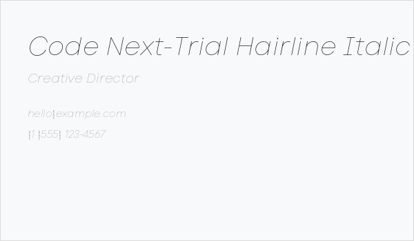 Code Next-Trial Hairline Italic Business Card