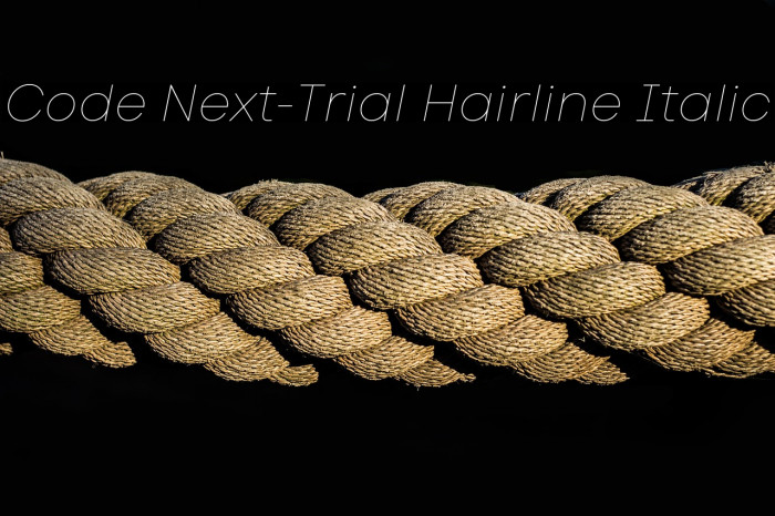 Code Next-Trial Hairline Italic Example 1
