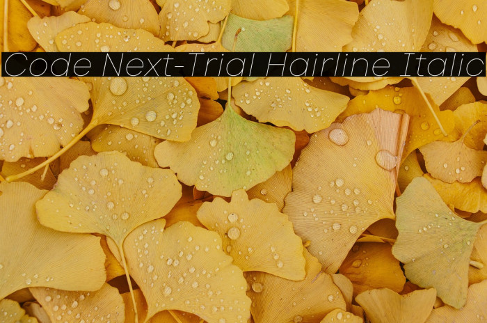 Code Next-Trial Hairline Italic Example 3