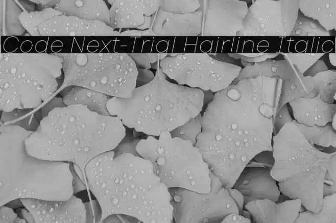 Code Next-Trial Hairline Italic Font examples
