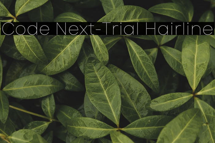 Code Next-Trial Hairline Example 2